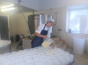 La ferme des grandes Fagnes (Stavelot) - Vente de produits laitiers